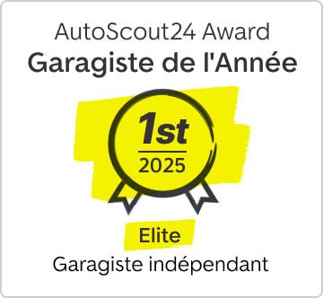 IZICARS SA award badge