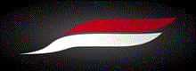 Dos Santos CarTechnik GmbH logo