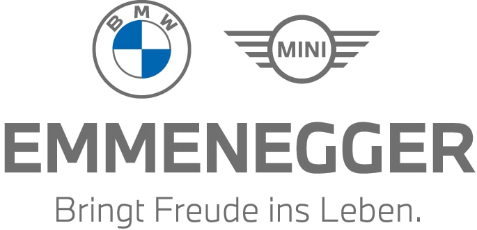 Felix Emmenegger AG logo