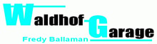 Waldhof Garage logo