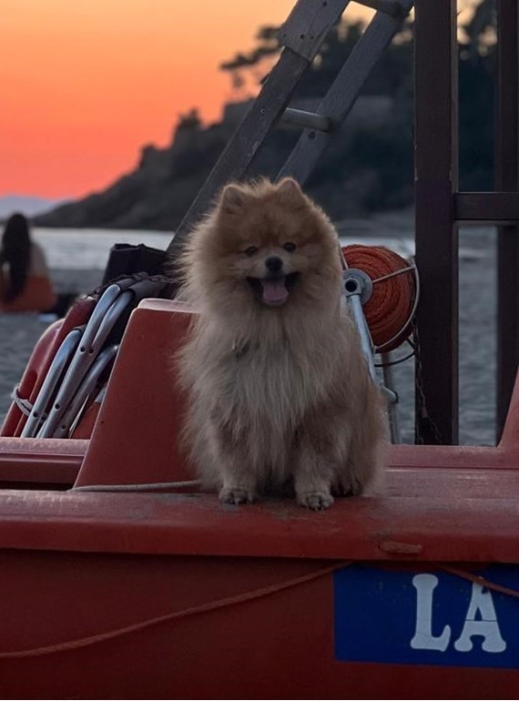Photo de Milo