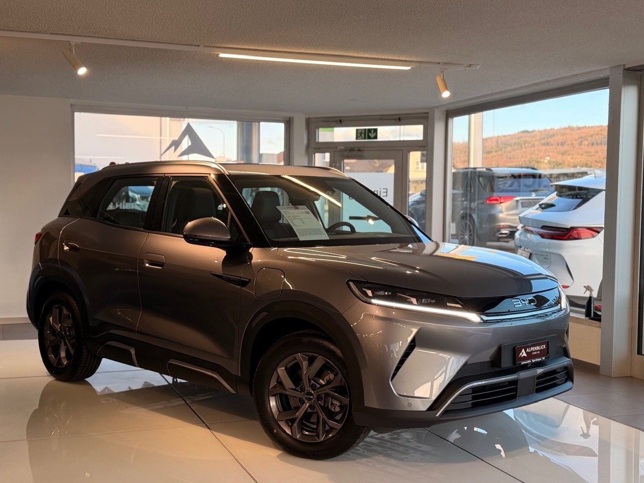 BYD Atto2 45 kWh Boost - 2