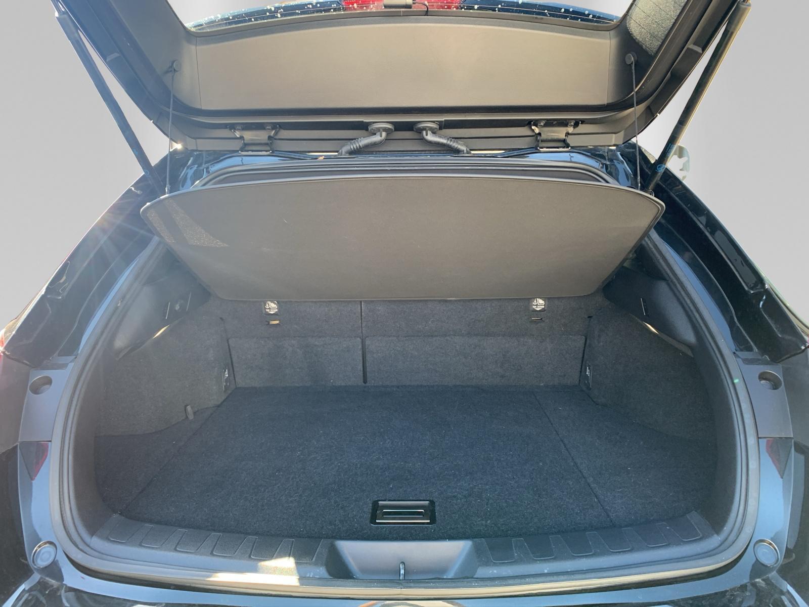 LEXUS UX 250h Special Edition - 12