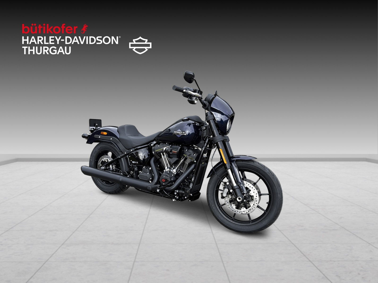 HARLEY-DAVIDSON FXLRS Low Rider S 117