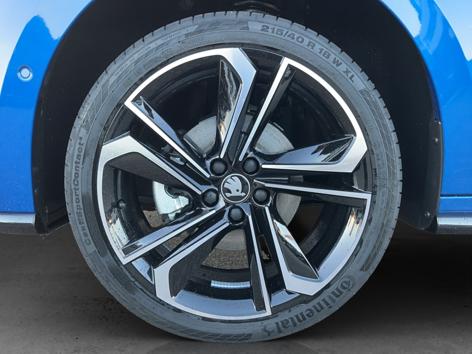 SKODA Fabia 1.5 TSI Monte Carlo DSG - 13