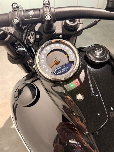 HARLEY-DAVIDSON FXFBS Fat Bob 114 - 11