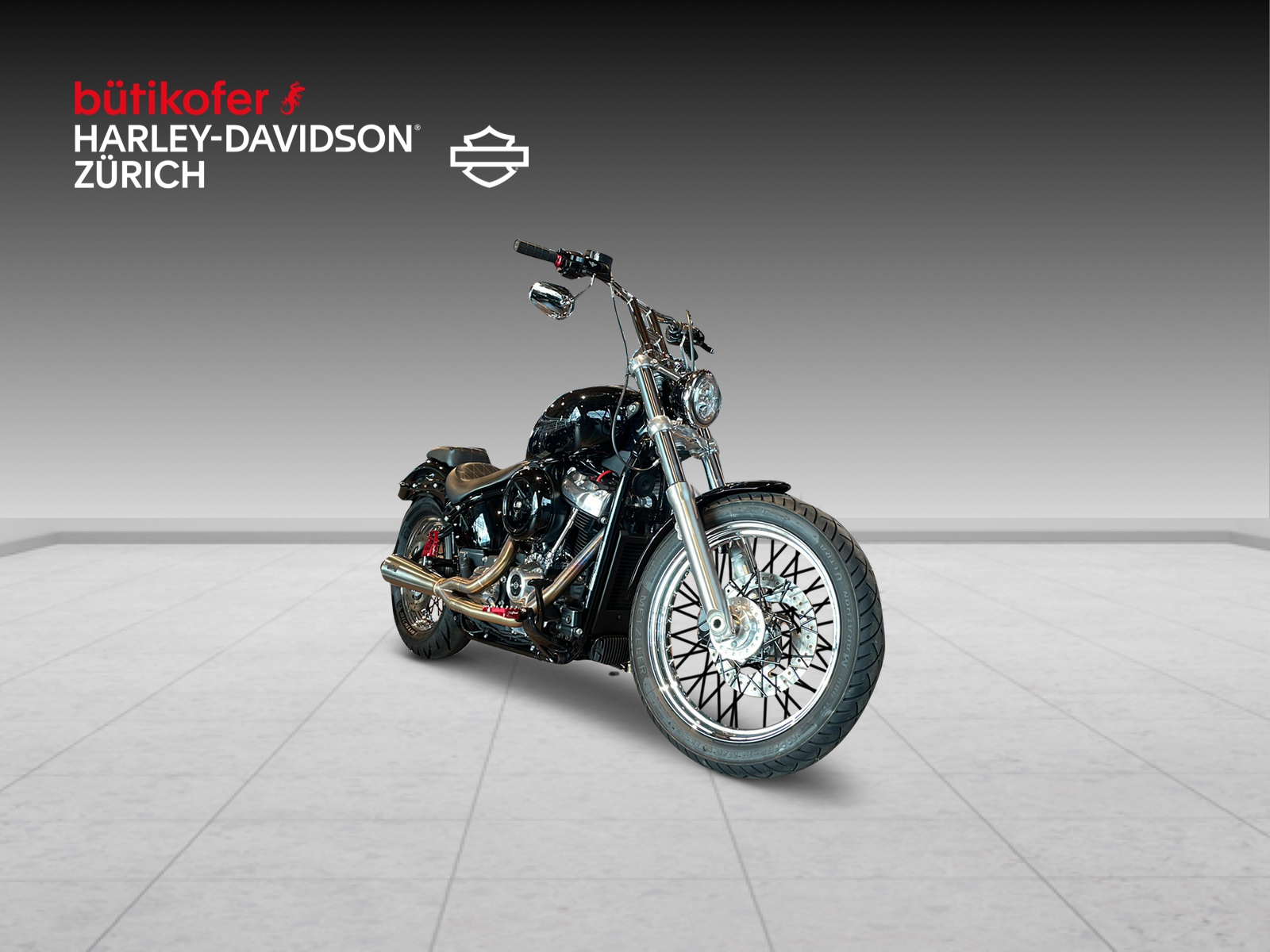 HARLEY-DAVIDSON FXST Softail Standard 107 - 2