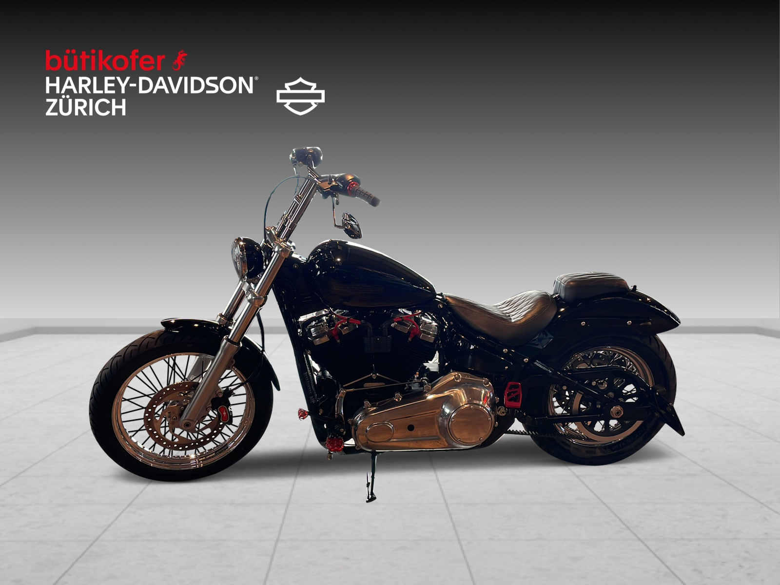 HARLEY-DAVIDSON FXST Softail Standard 107 - 4