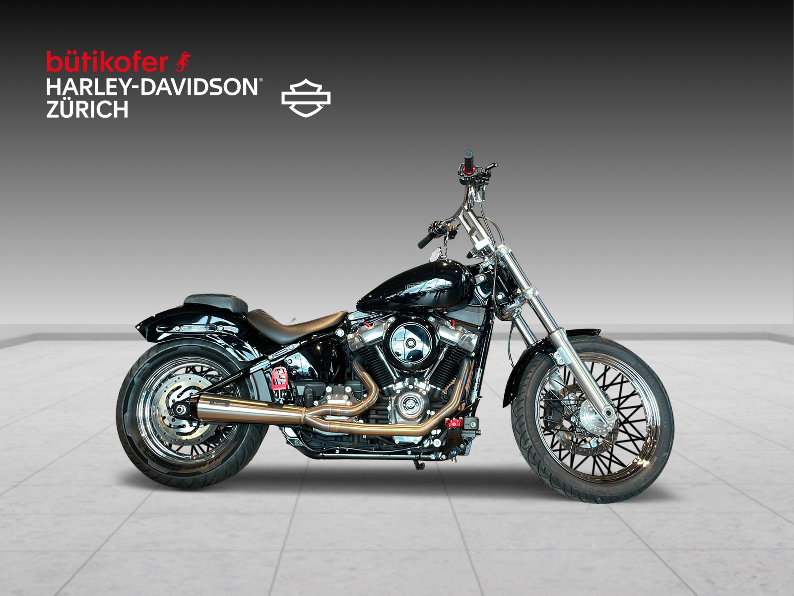 HARLEY-DAVIDSON FXST Softail Standard 107