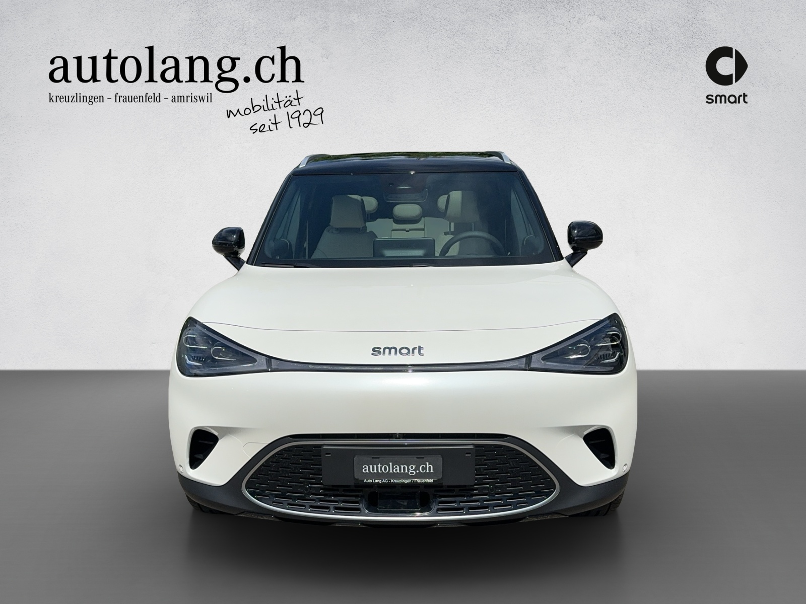 SMART #1 Premium - 16