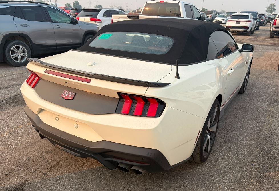 FORD Mustang GT 5.0 60th Anniversary - 2