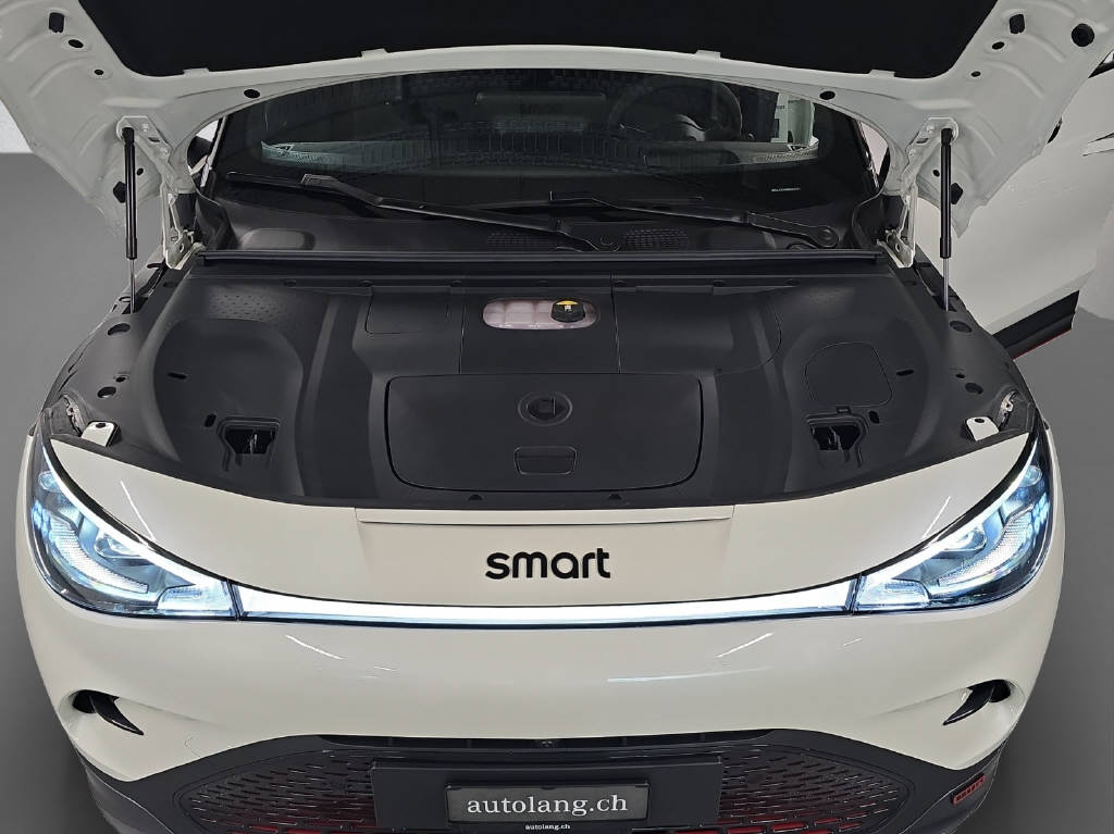 SMART #3 Brabus 4x4 66 kWh, 22kW - 9