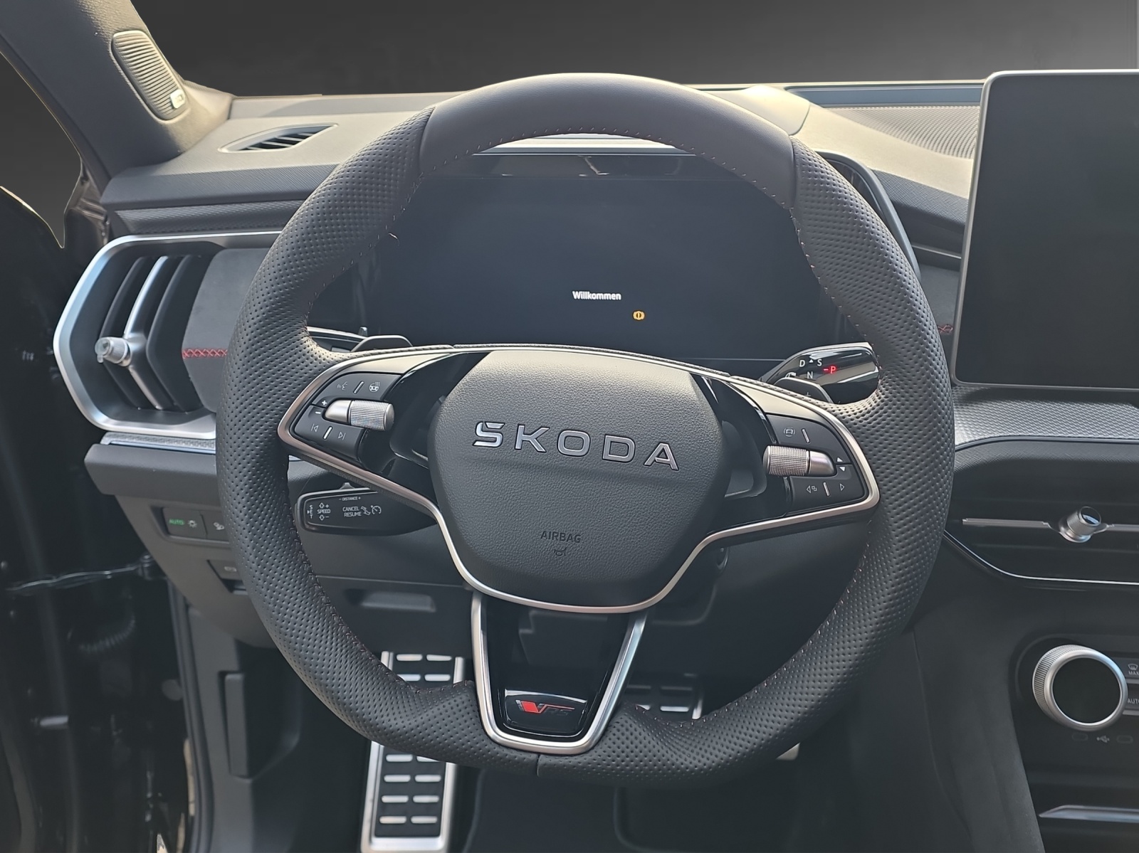 SKODA Kodiaq 2.0 TSI RS 4x4 - 16