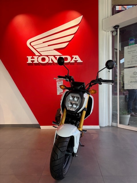 HONDA MSX 125 - 8