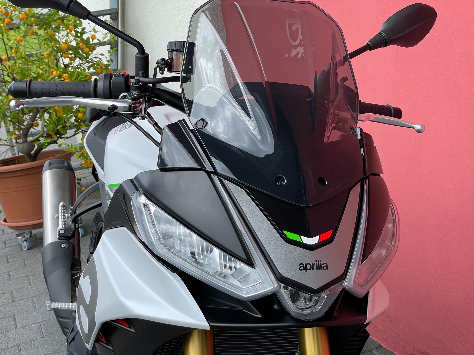 APRILIA Tuono V4 1100 - 6