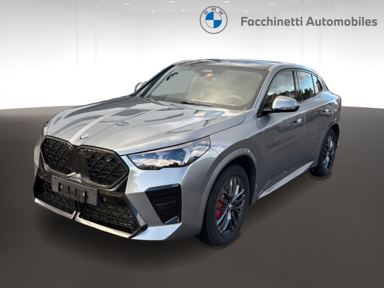 BMW X2 xDrive 20d 48V M Sport Pro