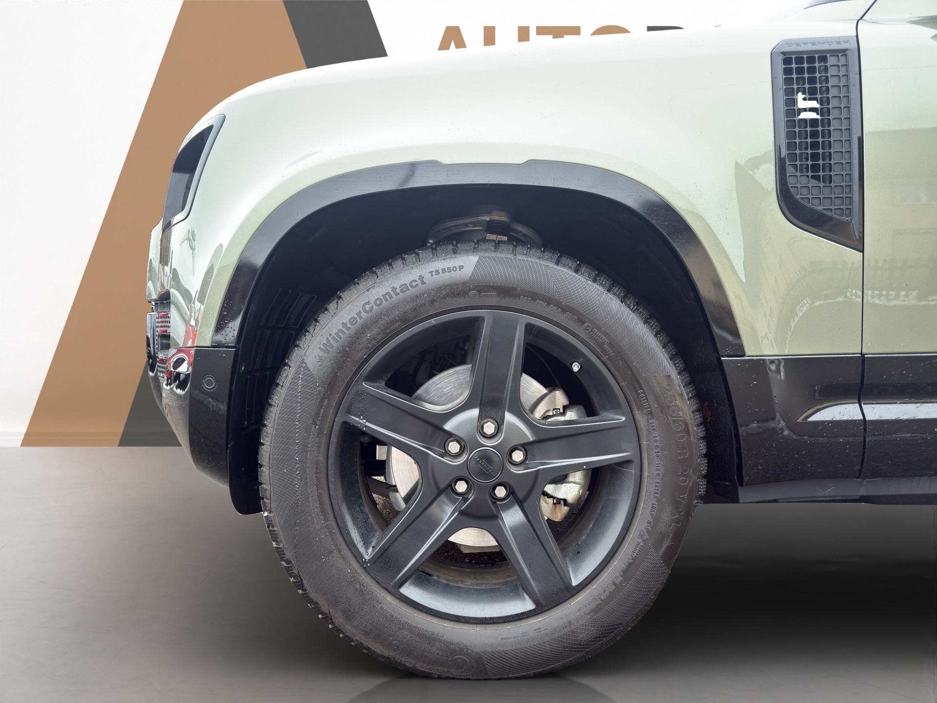 LAND ROVER Defender 90 3.0 D I6 250 SE - 19