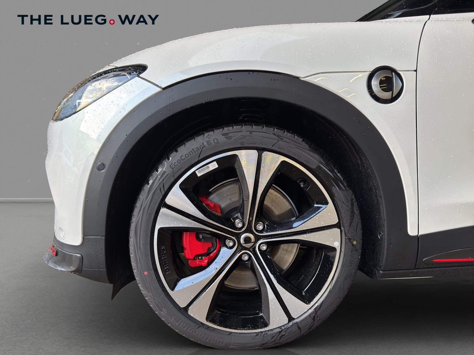 SMART #3 66kWh BRABUS - 9