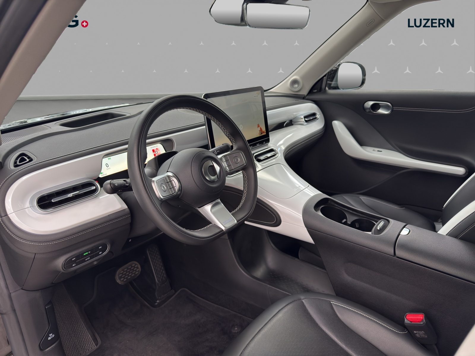 SMART #1 66kWh Premium - 10