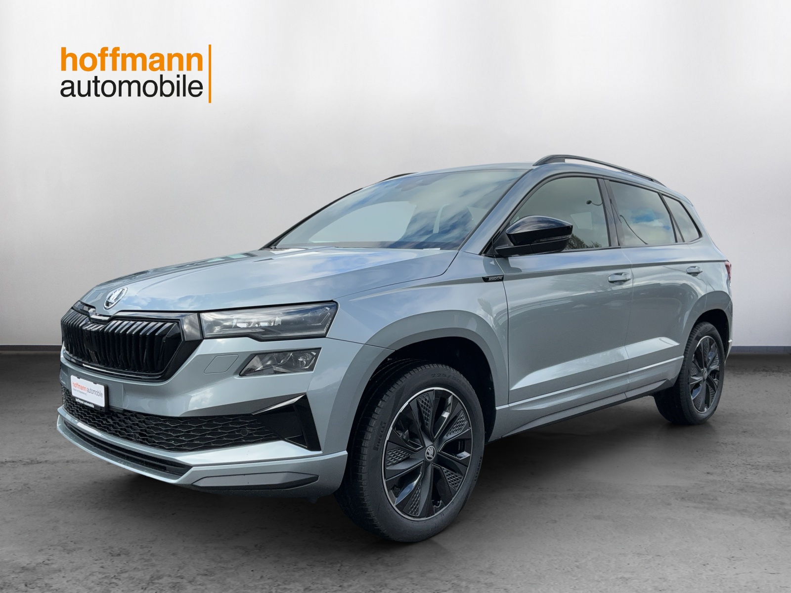 SKODA Karoq 2.0 TSI Dynamic Limited Edition 4x4 DSG