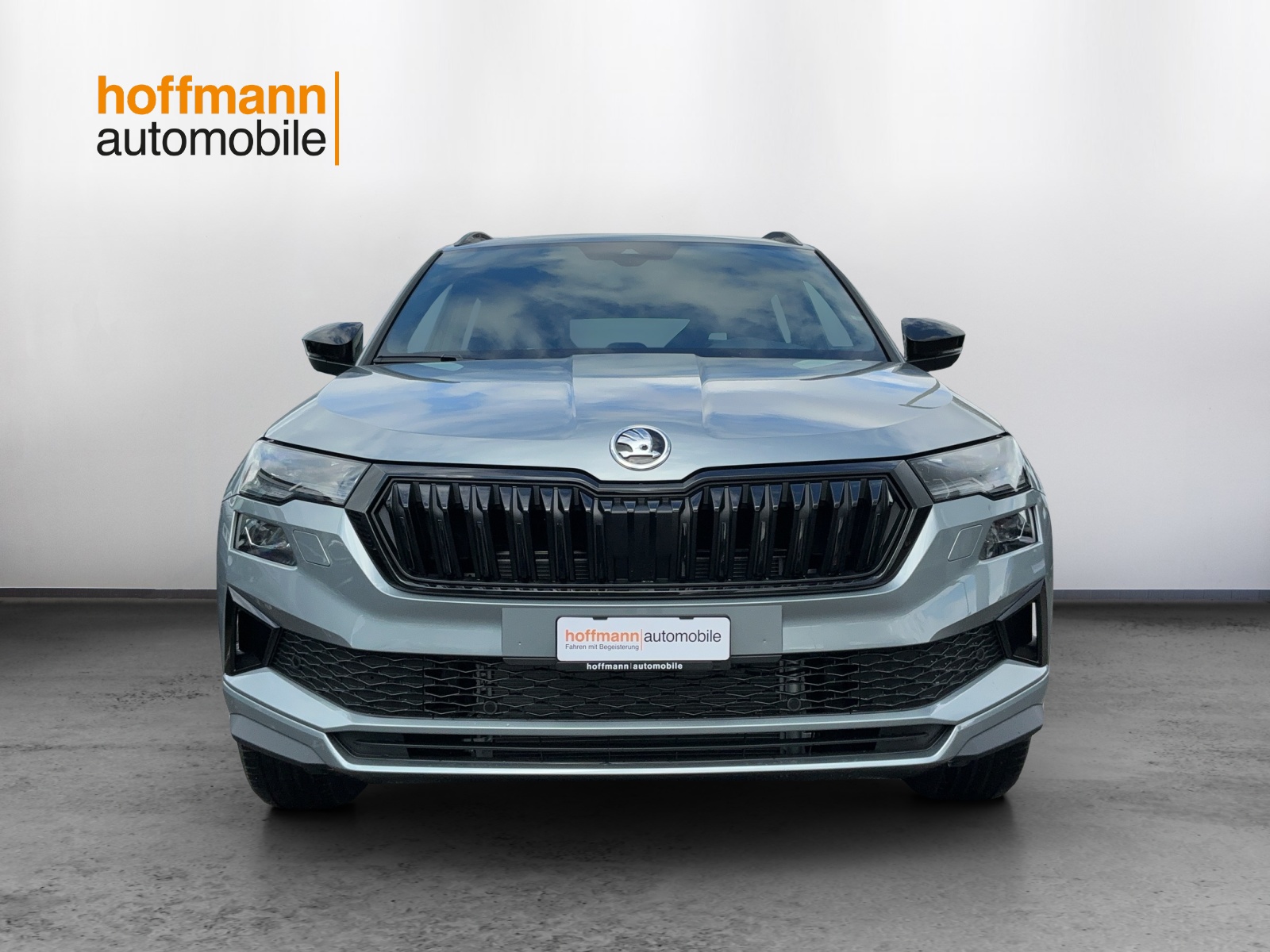 SKODA Karoq 2.0 TSI Dynamic Limited Edition 4x4 DSG - 2