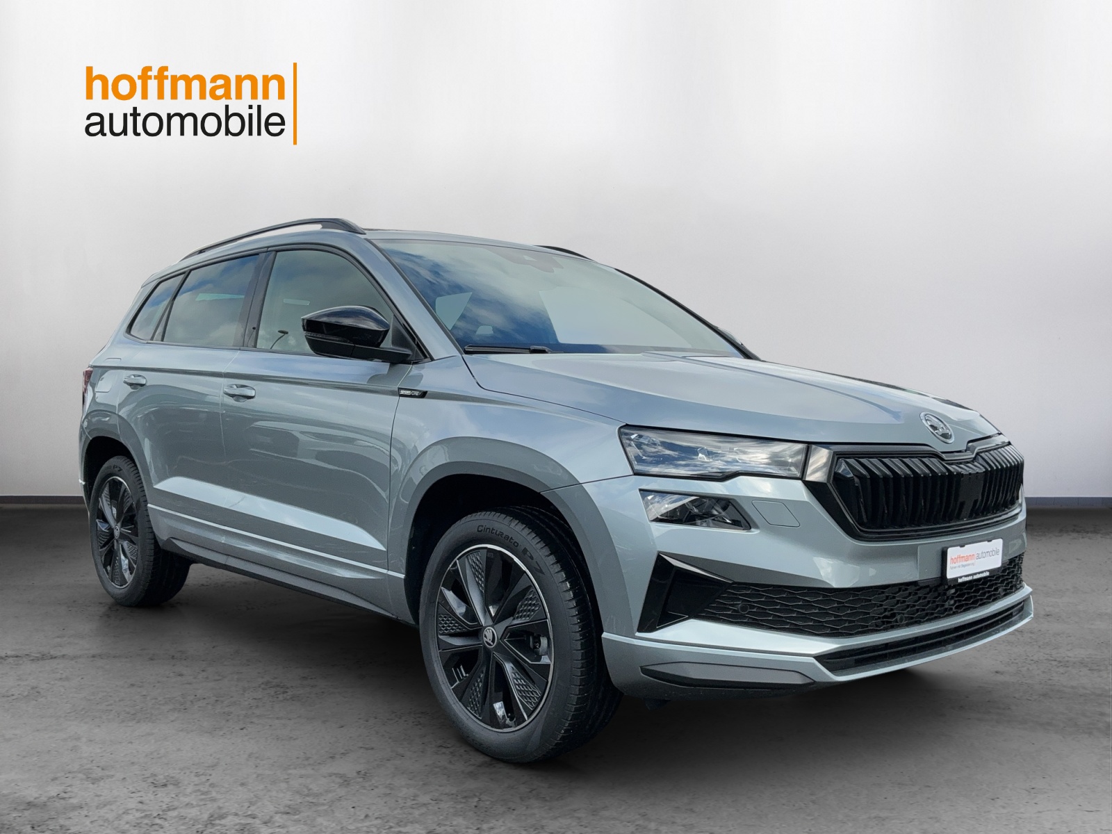 SKODA Karoq 2.0 TSI Dynamic Limited Edition 4x4 DSG - 3