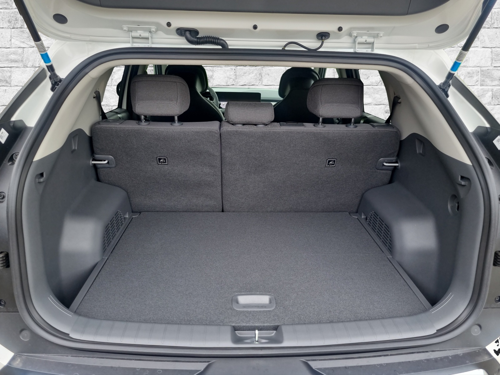 KIA EV3 81 kWh Earth - 9