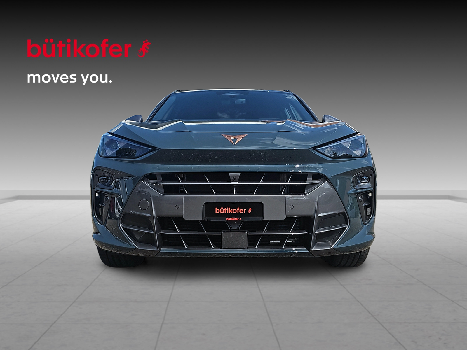 CUPRA Terramar 2.0 TSI 4Drive DSG - 2