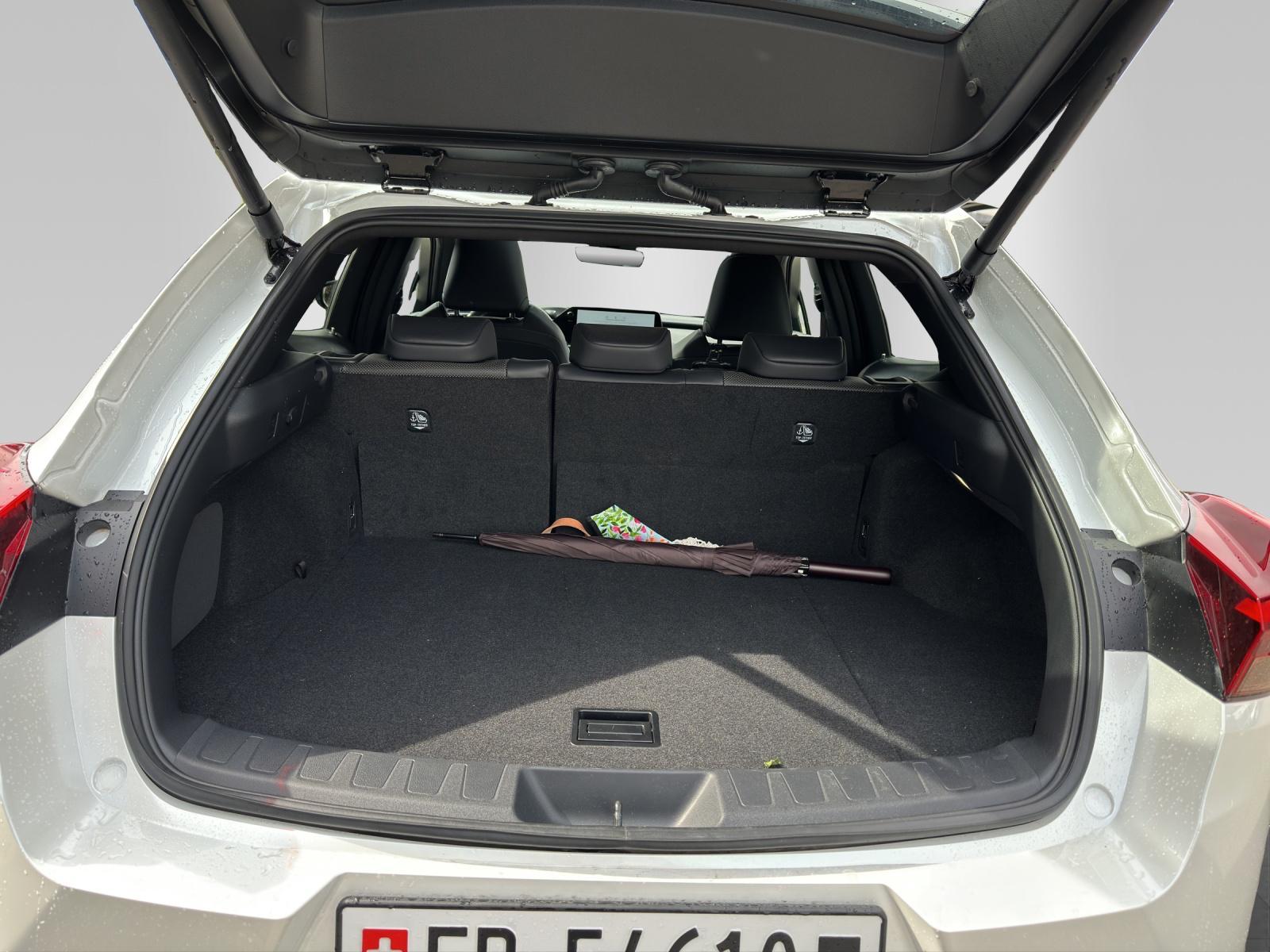 LEXUS UX 300h Excellence - 13