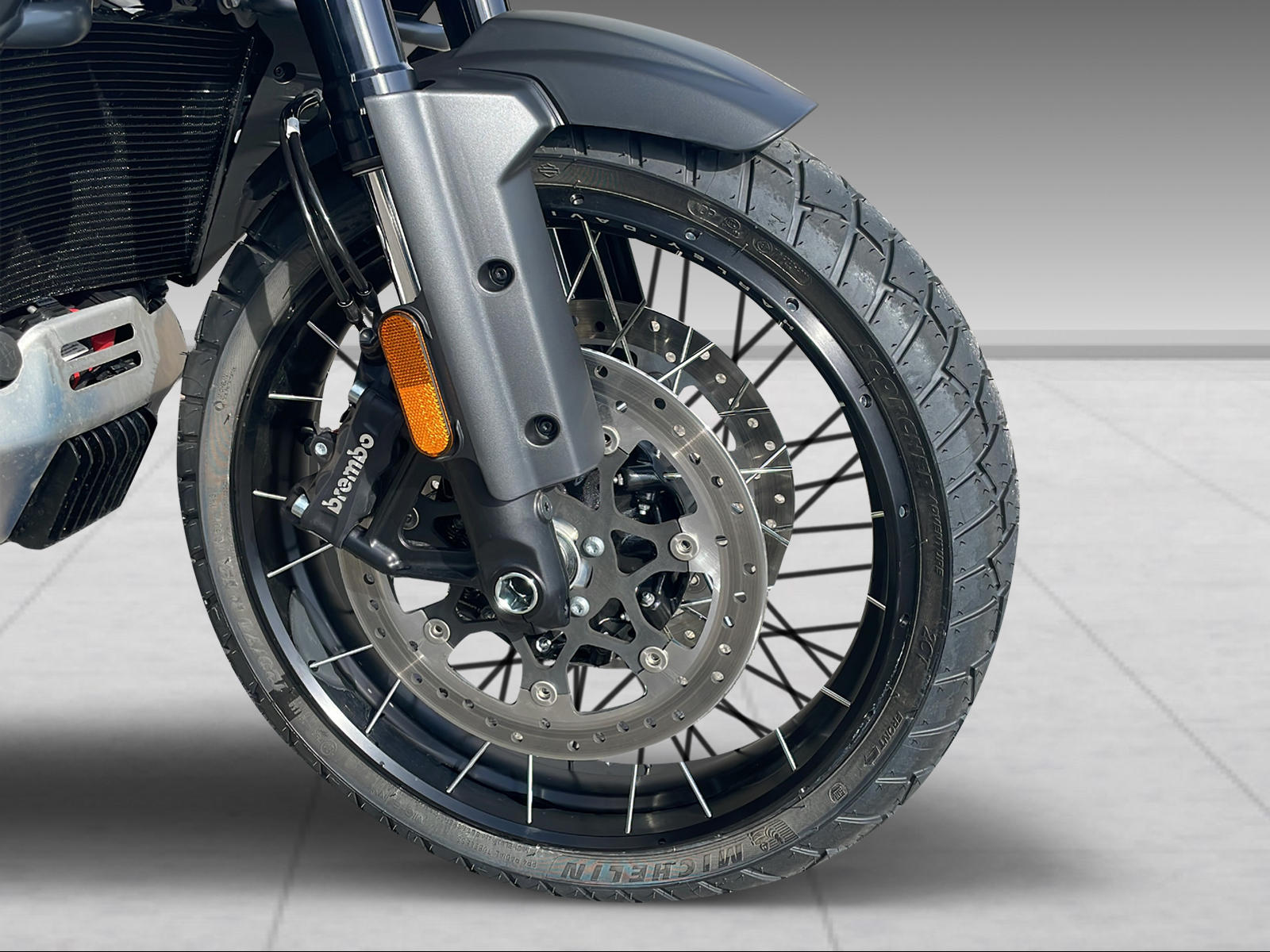 HARLEY-DAVIDSON RA Pan America 1250 Special - 6