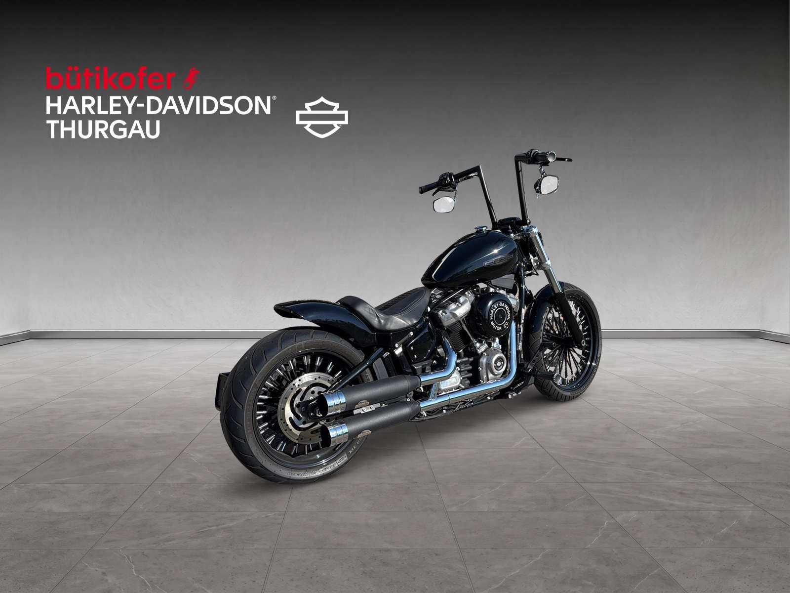 HARLEY-DAVIDSON FXST Softail Standard 107 - 3