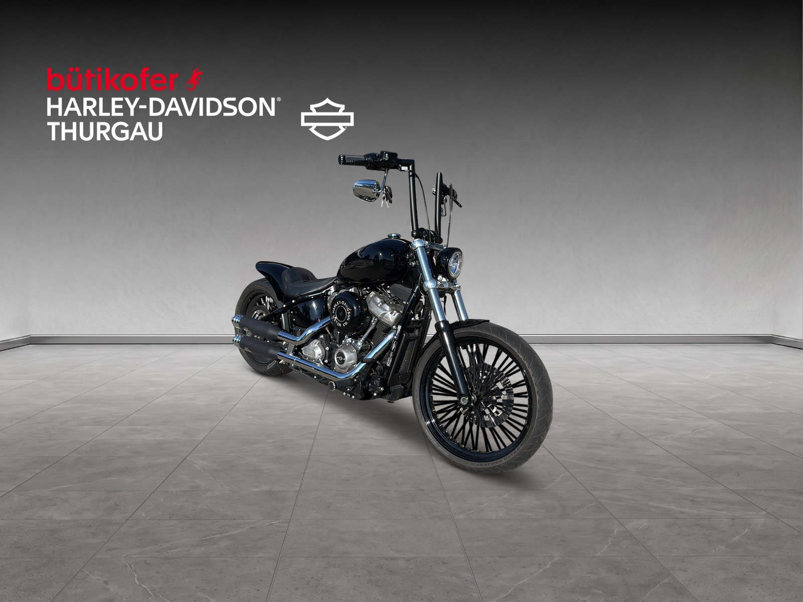 HARLEY-DAVIDSON FXST Softail Standard 107