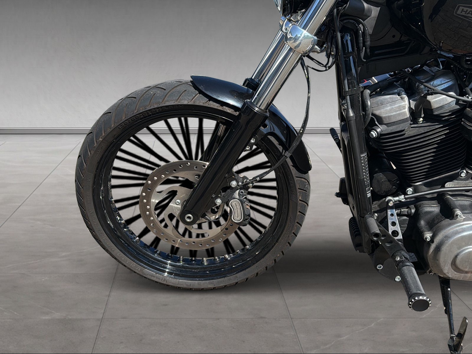 HARLEY-DAVIDSON FXST Softail Standard 107 - 6