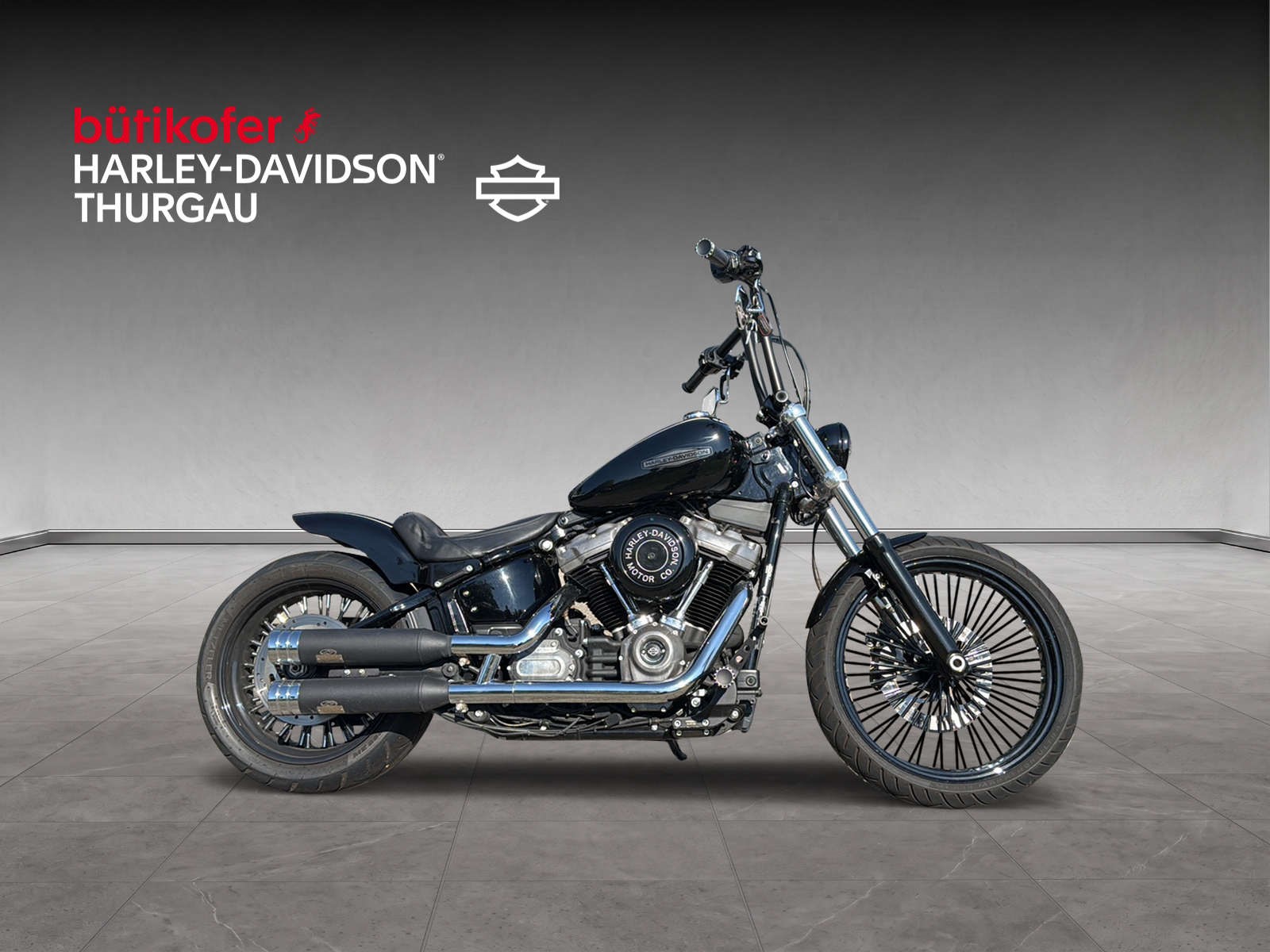 HARLEY-DAVIDSON FXST Softail Standard 107 - 2