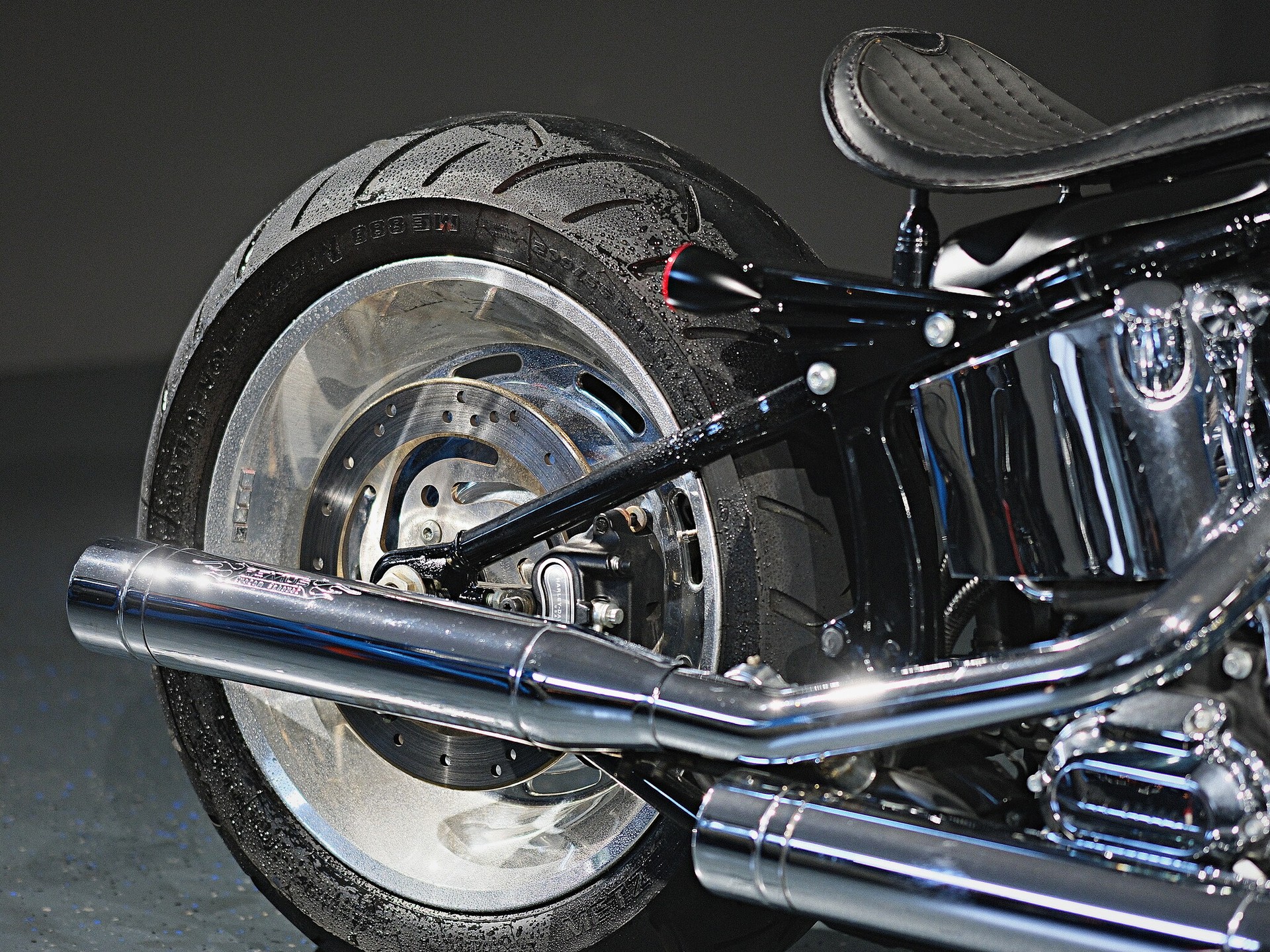 HARLEY-DAVIDSON FXSTC Softail Custom - 9