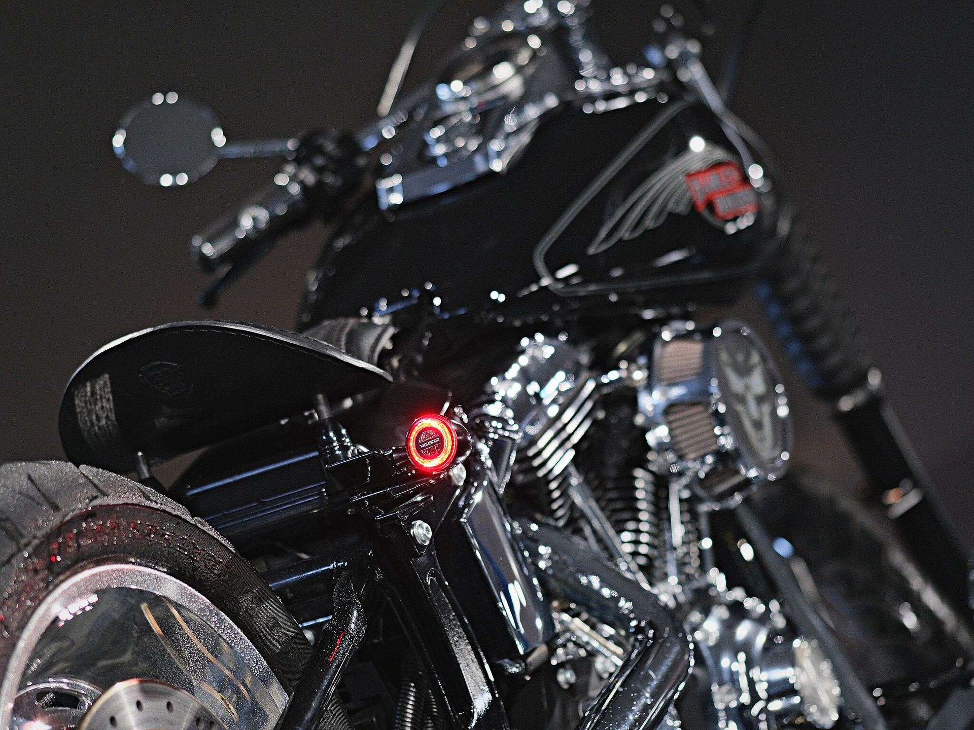 HARLEY-DAVIDSON FXSTC Softail Custom - 6