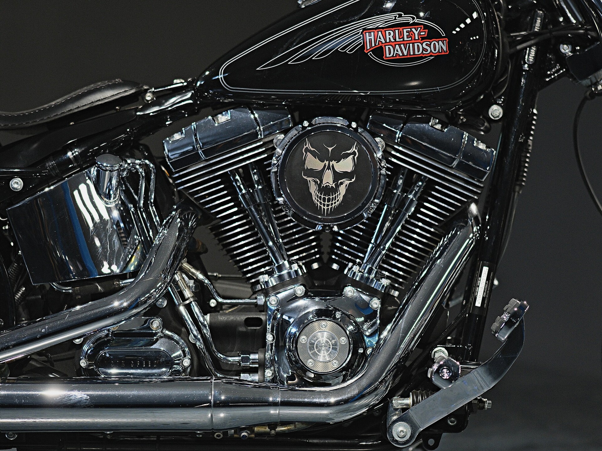 HARLEY-DAVIDSON FXSTC Softail Custom - 13
