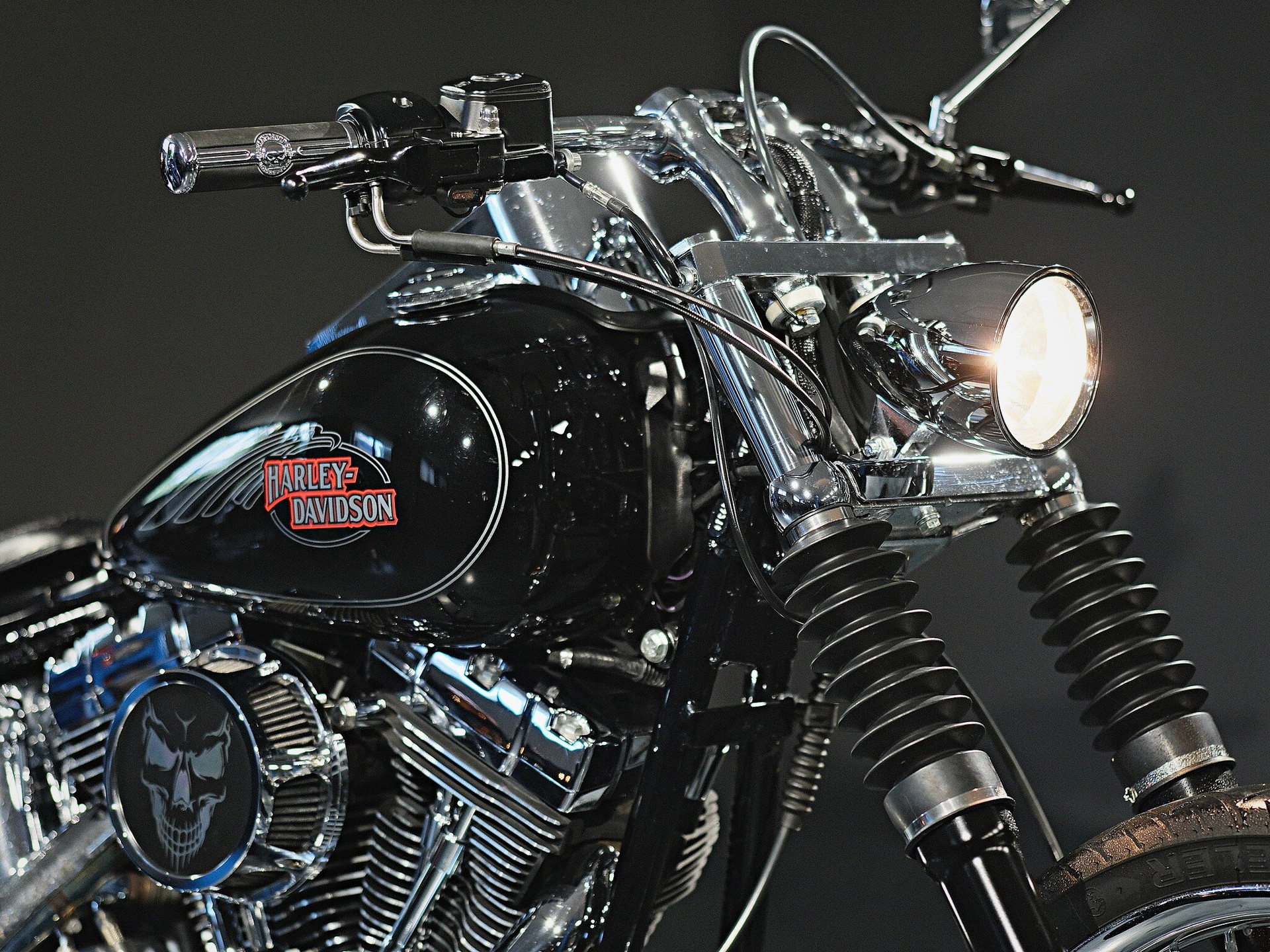 HARLEY-DAVIDSON FXSTC Softail Custom - 10