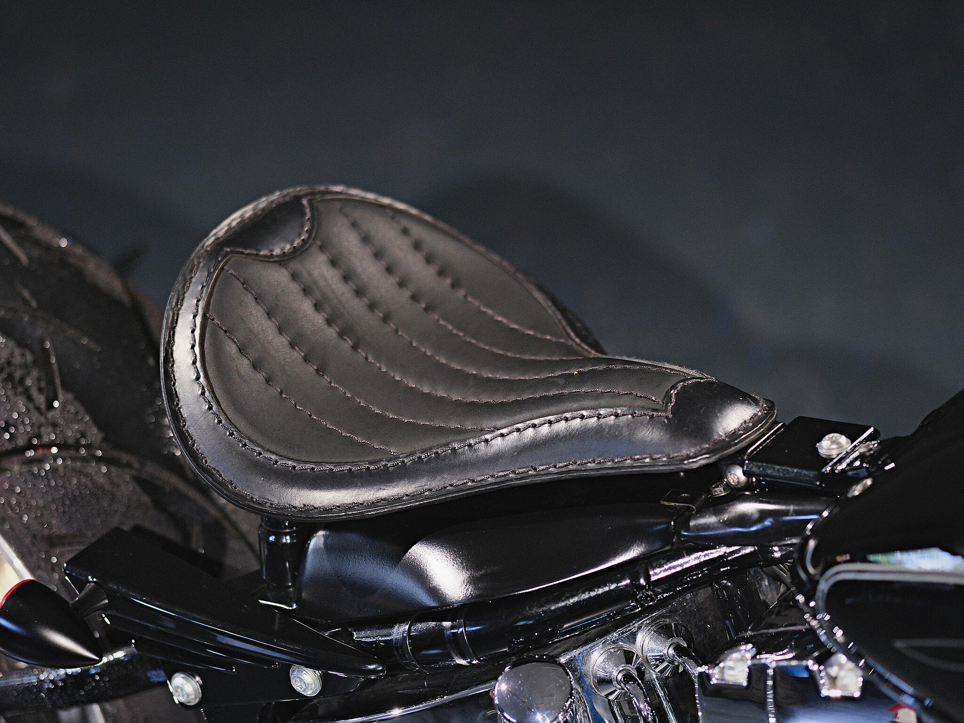 HARLEY-DAVIDSON FXSTC Softail Custom - 11