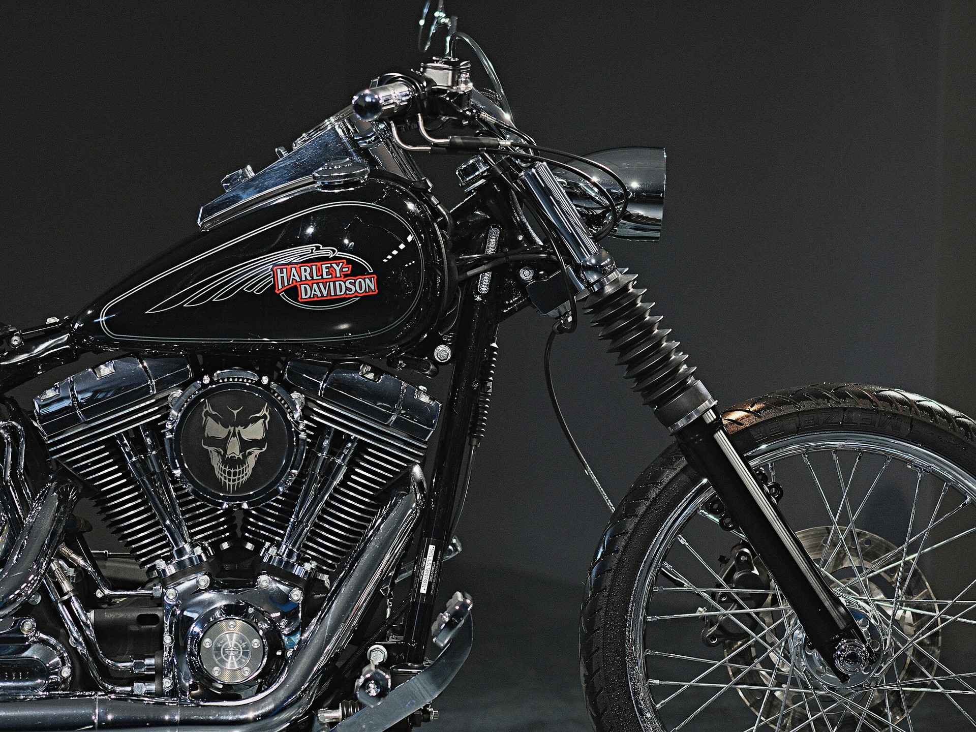 HARLEY-DAVIDSON FXSTC Softail Custom - 12
