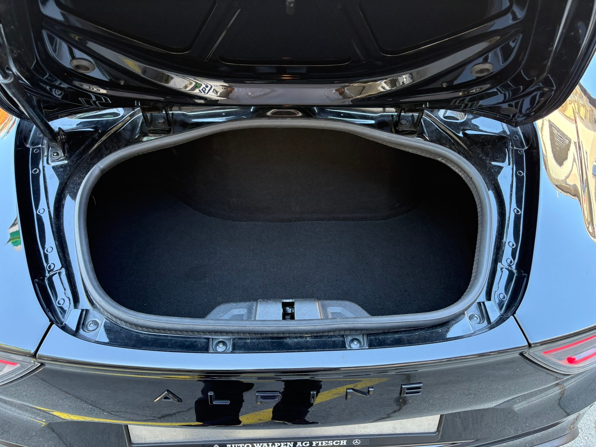 ALPINE Alpine A110 S - 12