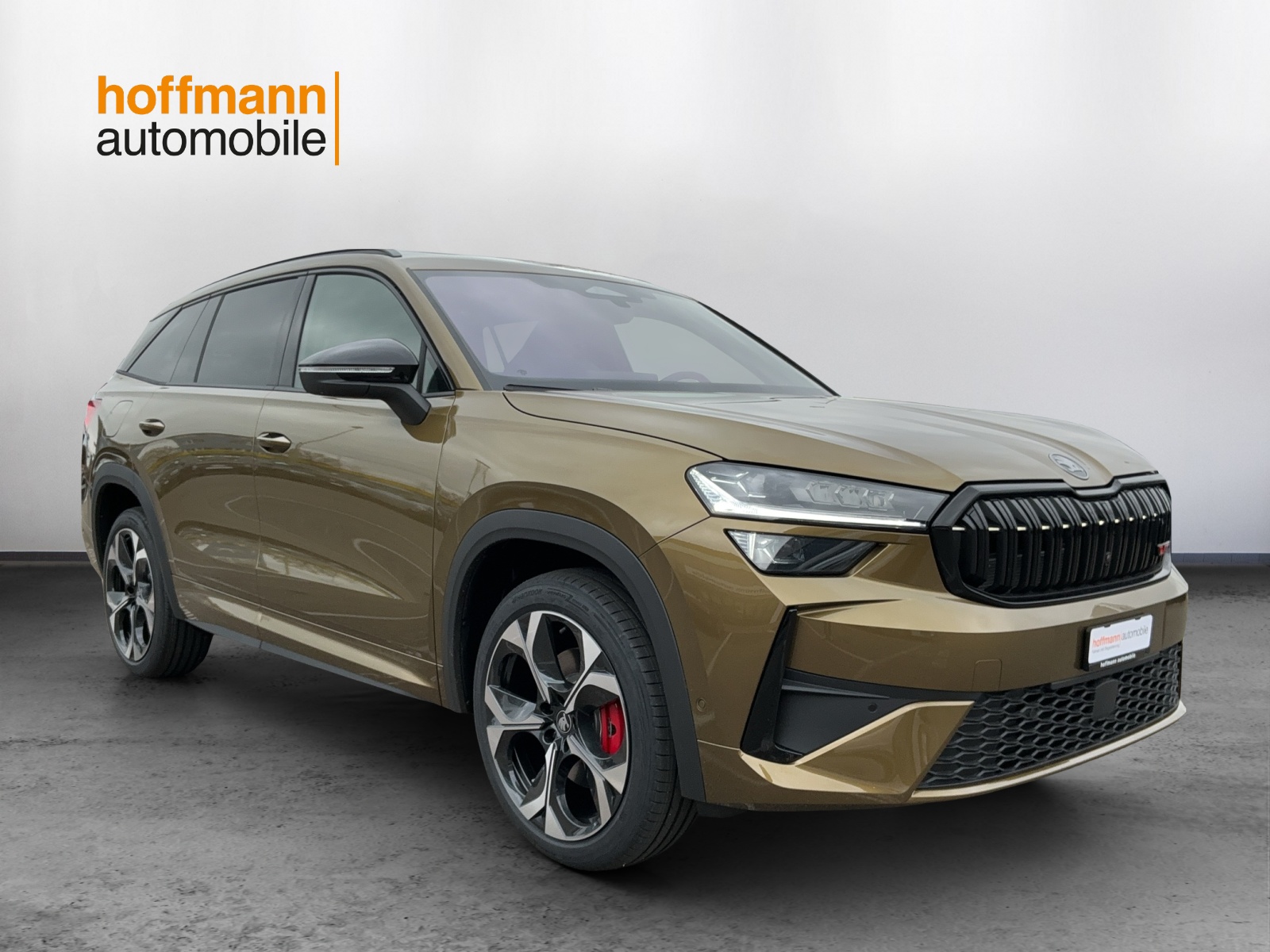 SKODA Kodiaq 2.0 TSI RS 4x4 - 3
