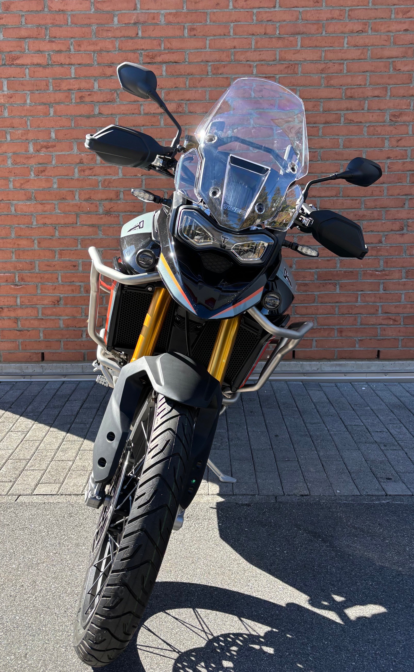 TRIUMPH Tiger 900 Desert Edition - 3
