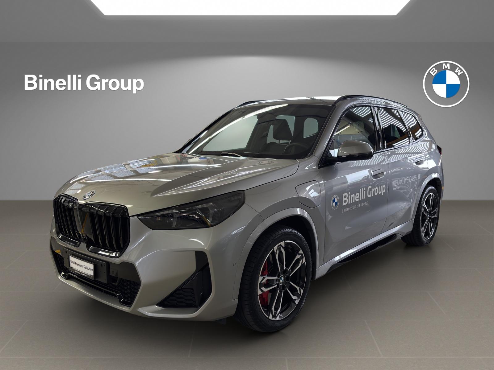 X1 30e xDrive paddles