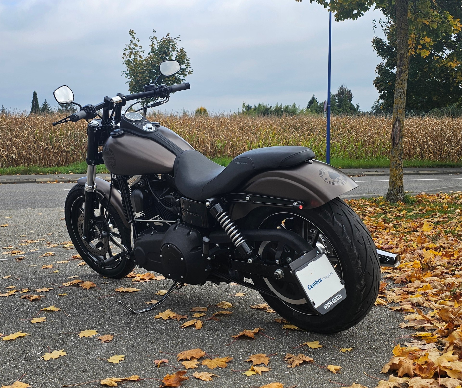 HARLEY-DAVIDSON DYNA STREET BOB Édition Spéciale FXDBB - 5