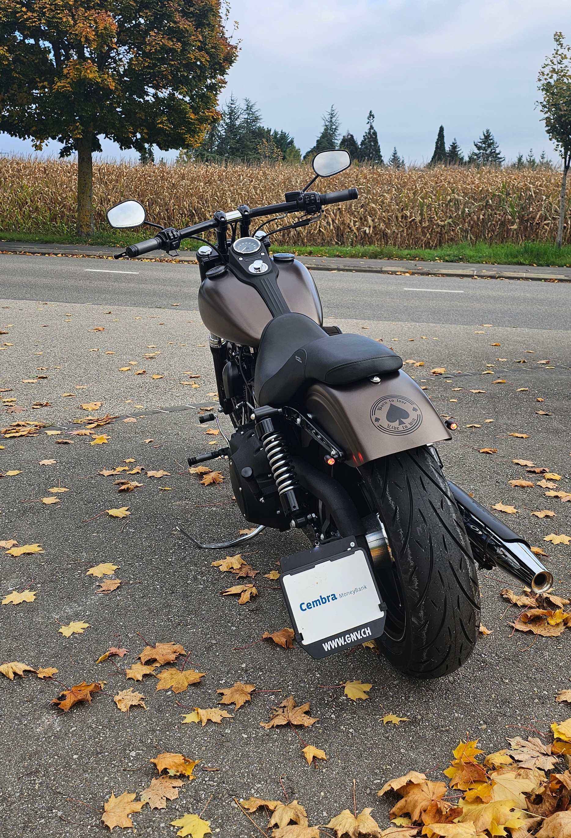 HARLEY-DAVIDSON DYNA STREET BOB Édition Spéciale FXDBB - 6