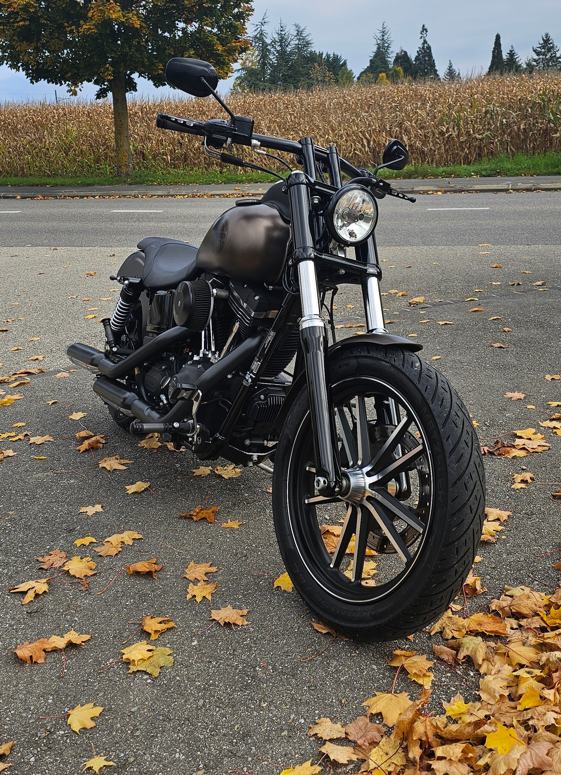 HARLEY-DAVIDSON DYNA STREET BOB Édition Spéciale FXDBB - 3