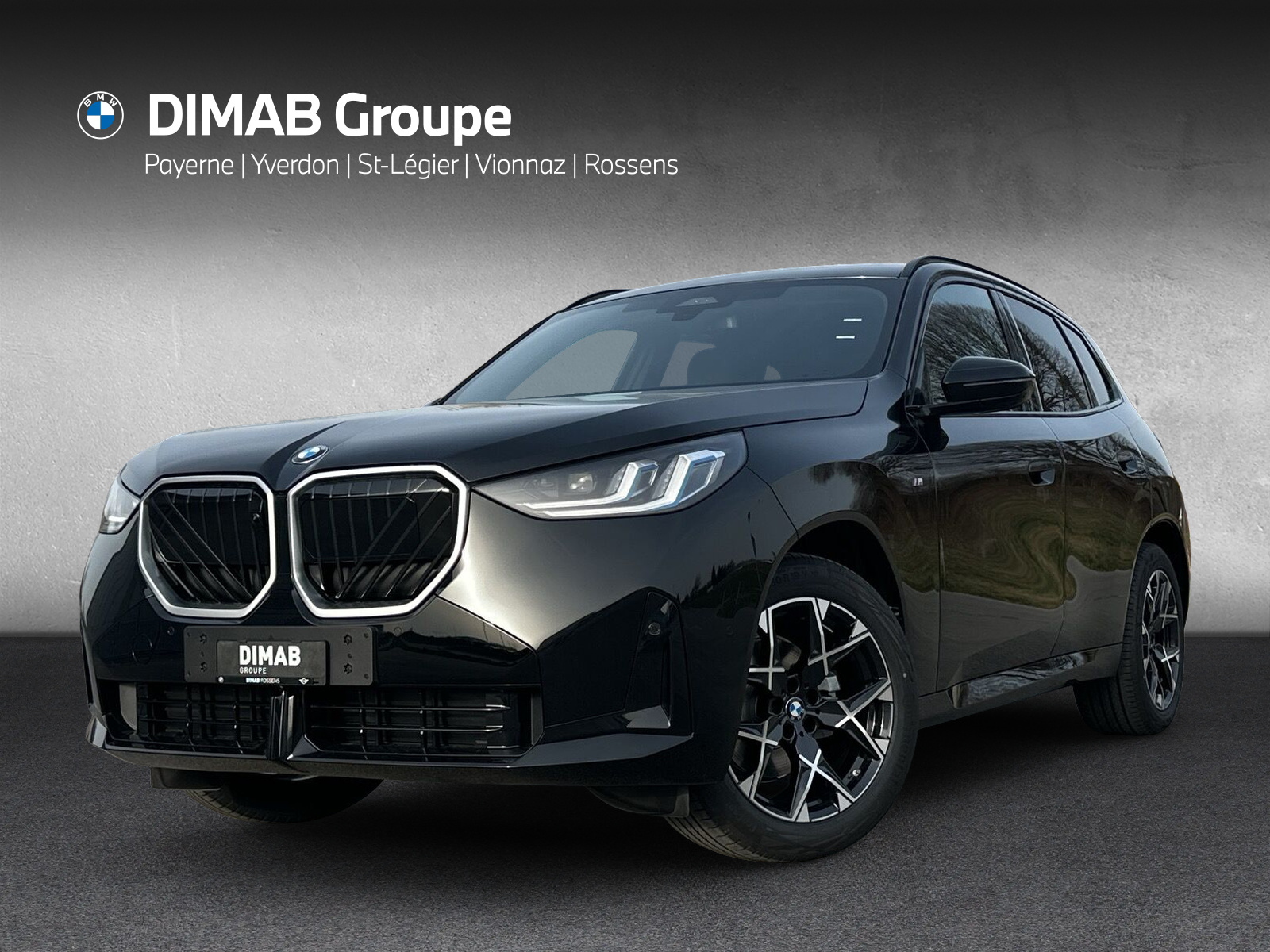 BMW X3 xDrive 48V 20d M Sport