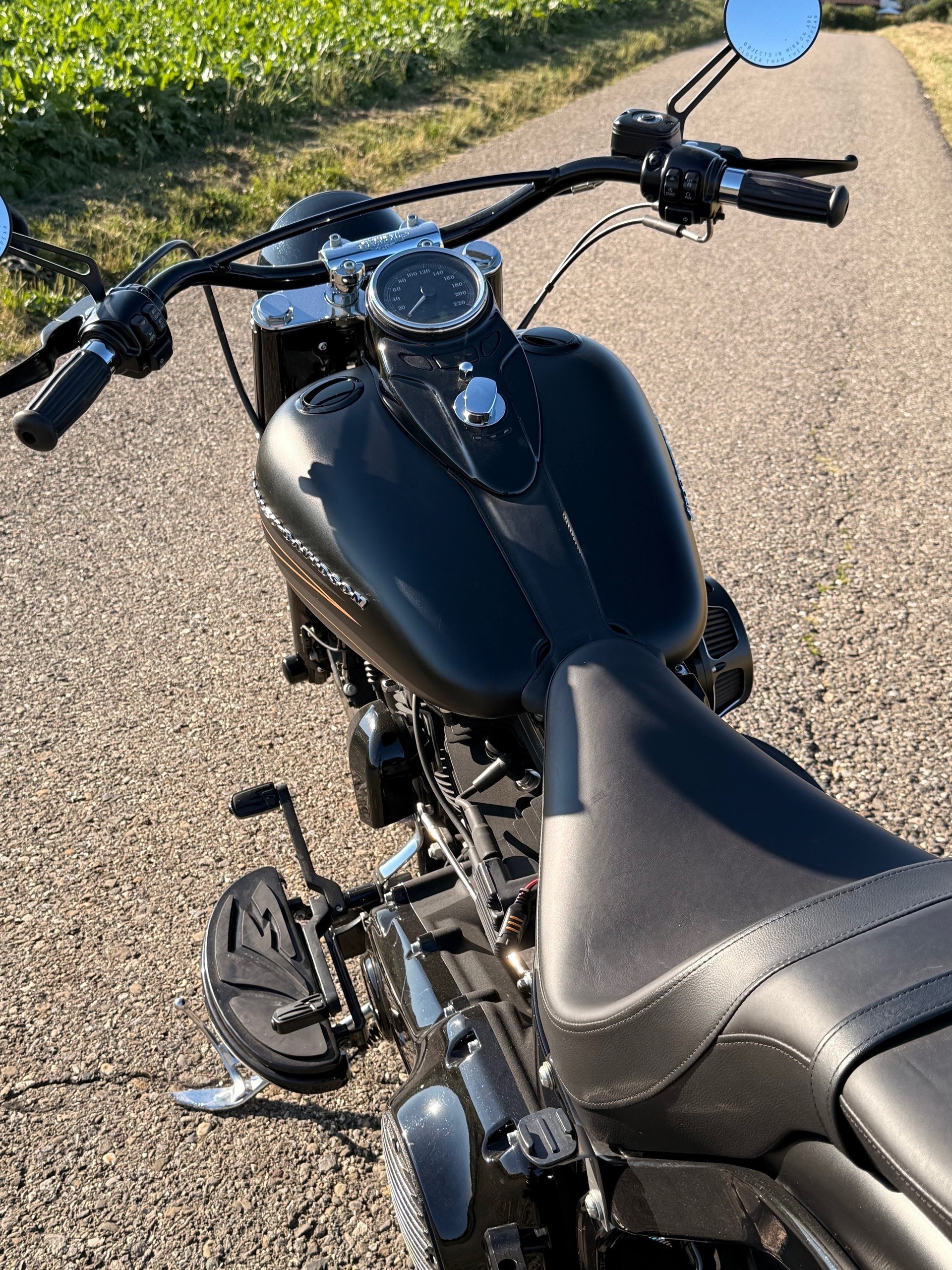 HARLEY-DAVIDSON FLS Softail Slim ABS - 12