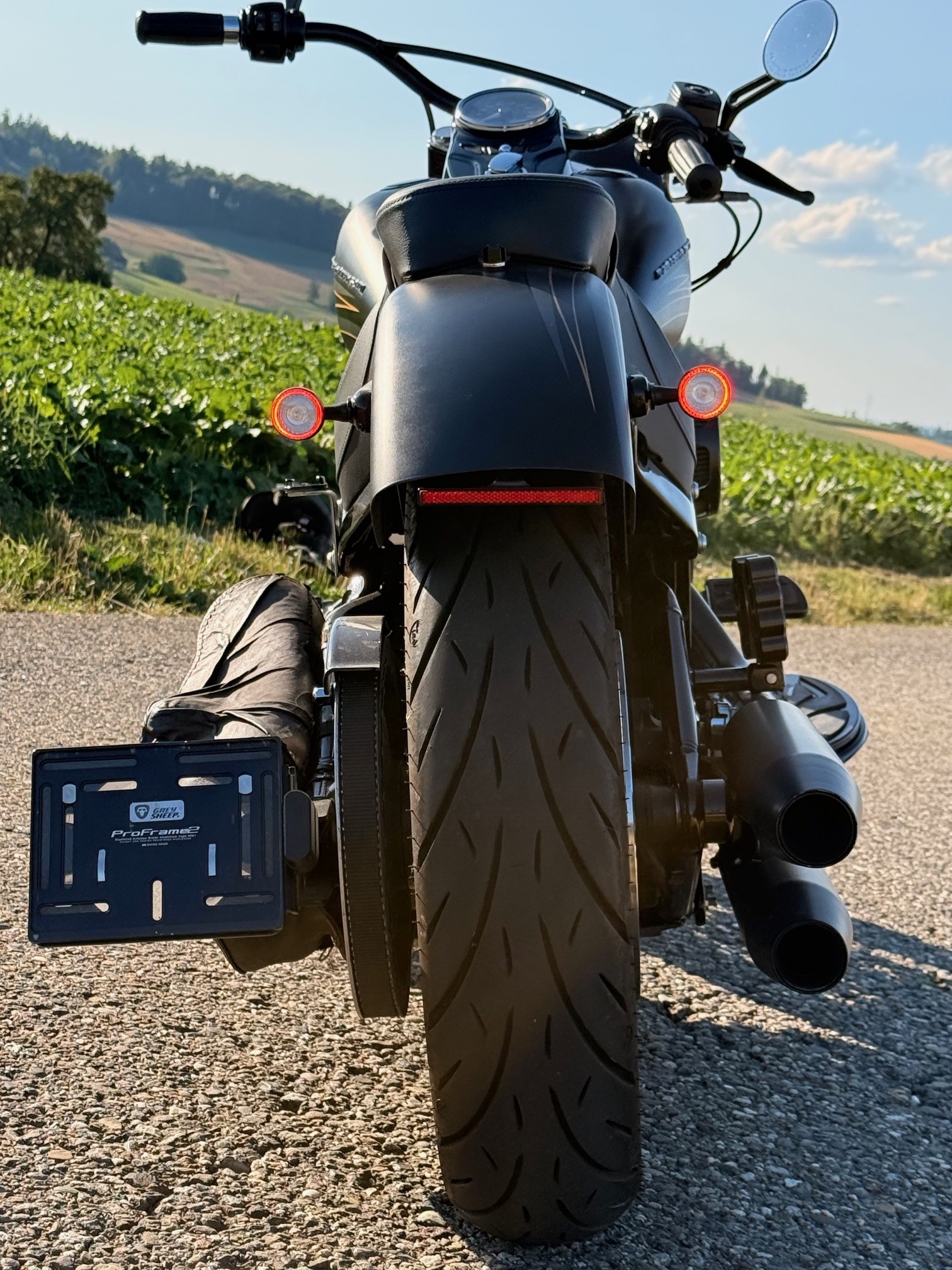 HARLEY-DAVIDSON FLS Softail Slim ABS - 11